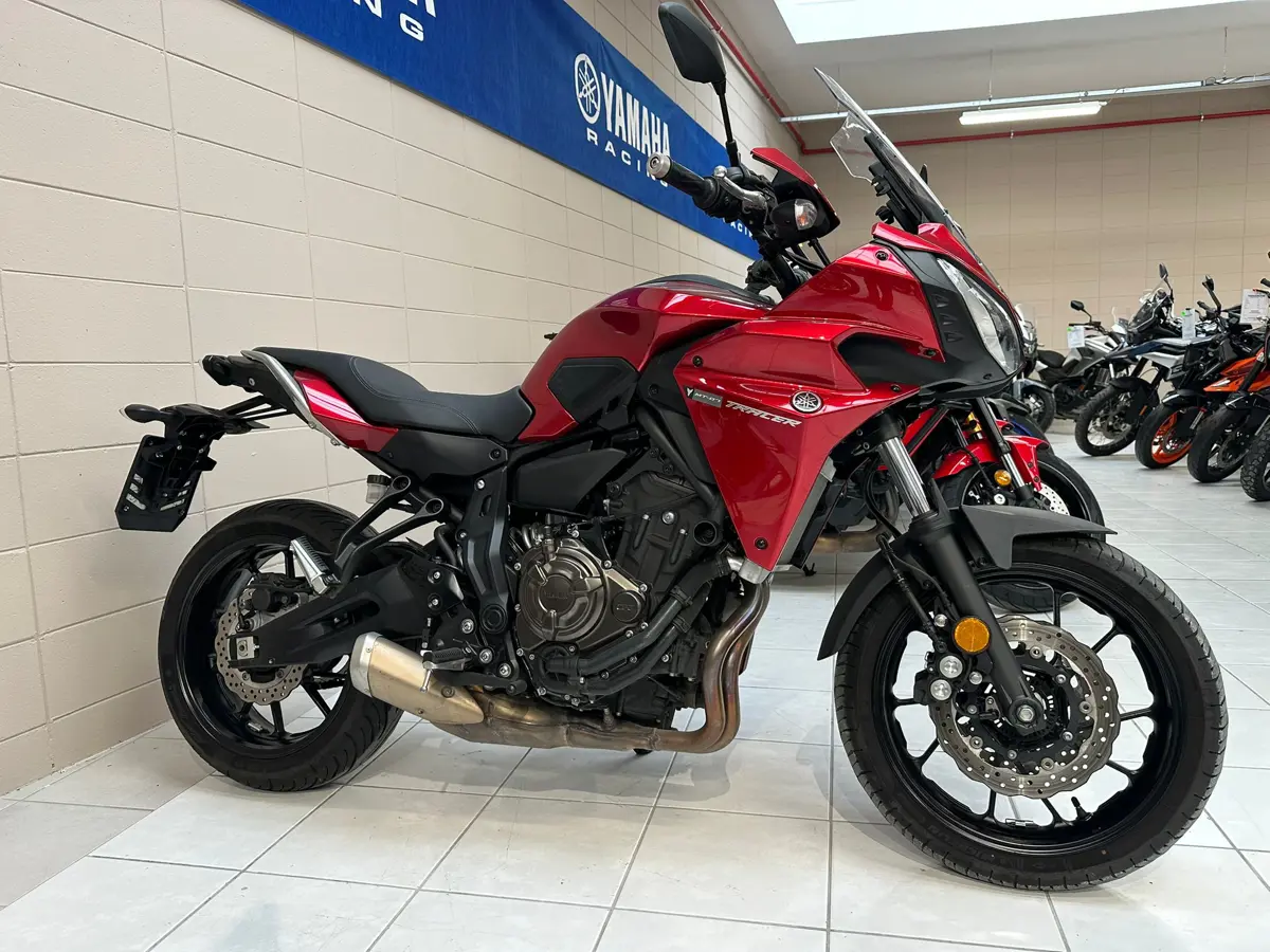 Immagine WhatsApp 2025-10-31 ore 15.53.42_9a6c7ba5.jpg