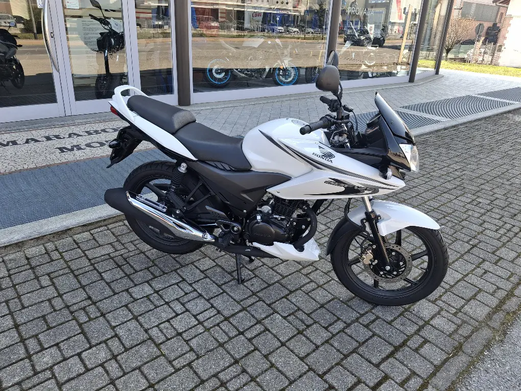 HONDA CBF 125.jpg