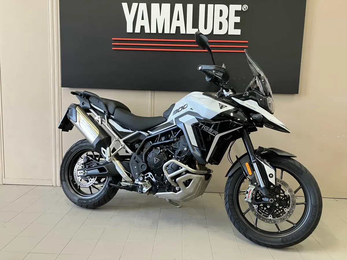 TRIUMPH TIGER 9 GT PRO (1).jpg