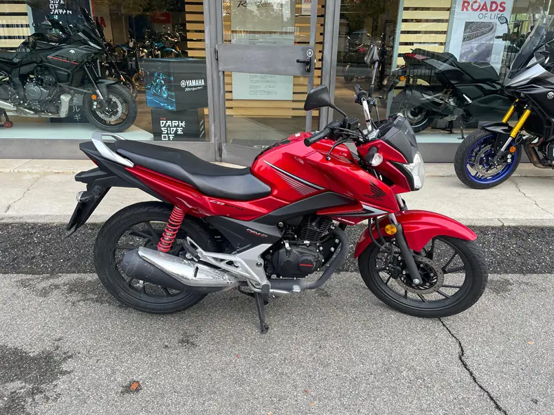 Immagine WhatsApp 2025-10-30 ore 16.35.07_931834dd.jpg