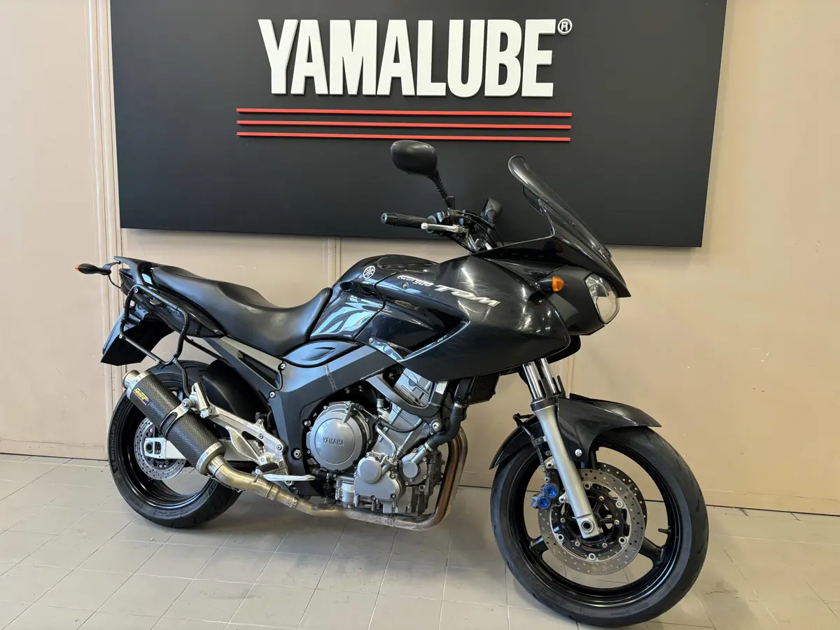 TDM 900 (2).jpg