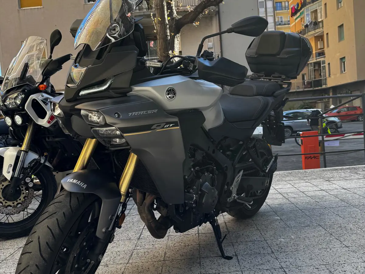 WhatsApp Image 2026-04-03 at 15.29.33.jpeg