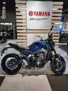 m2v8rdqm.png