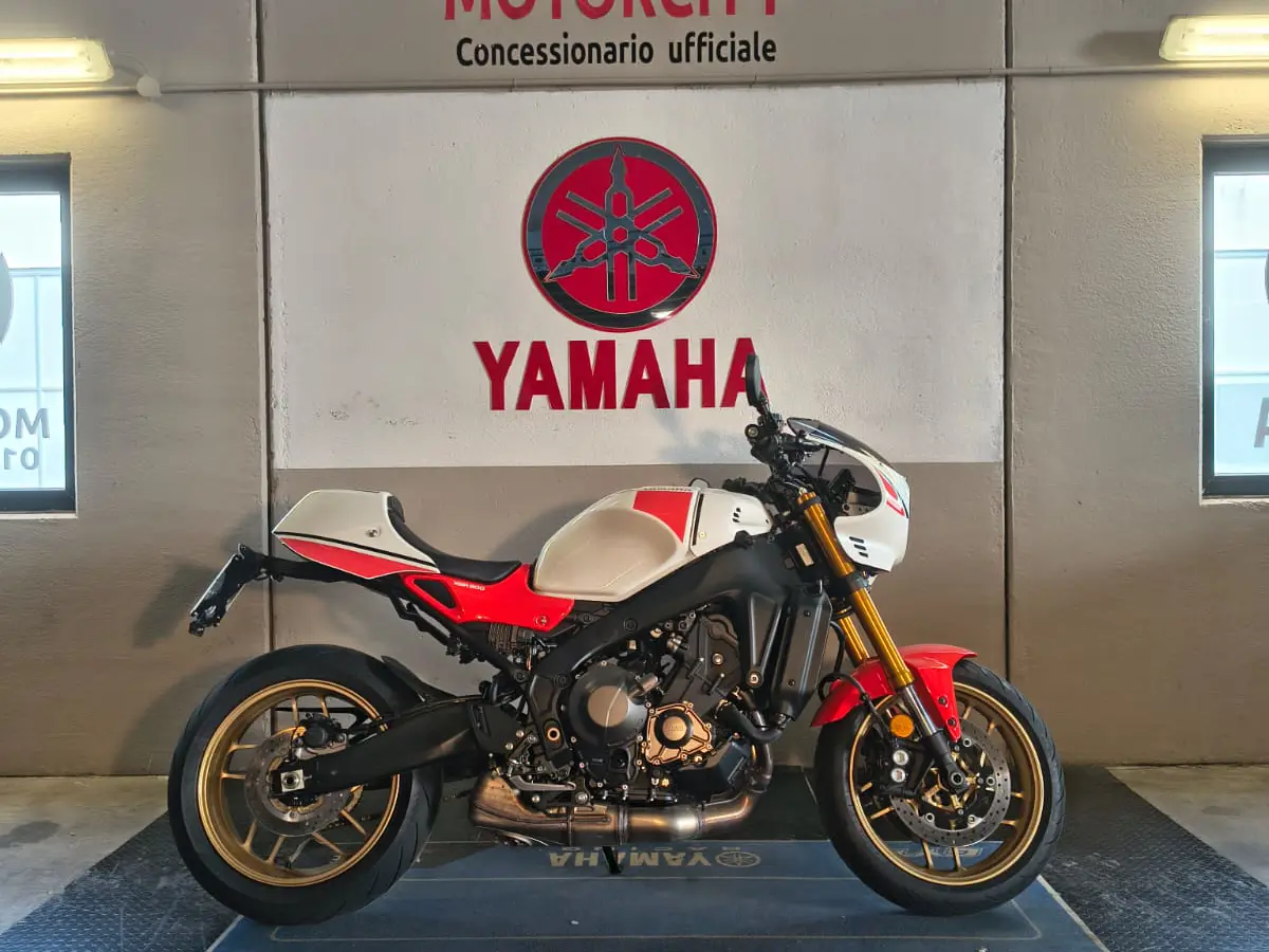 WhatsApp Image 2026-02-13 at 17.27.12 (2).jpeg