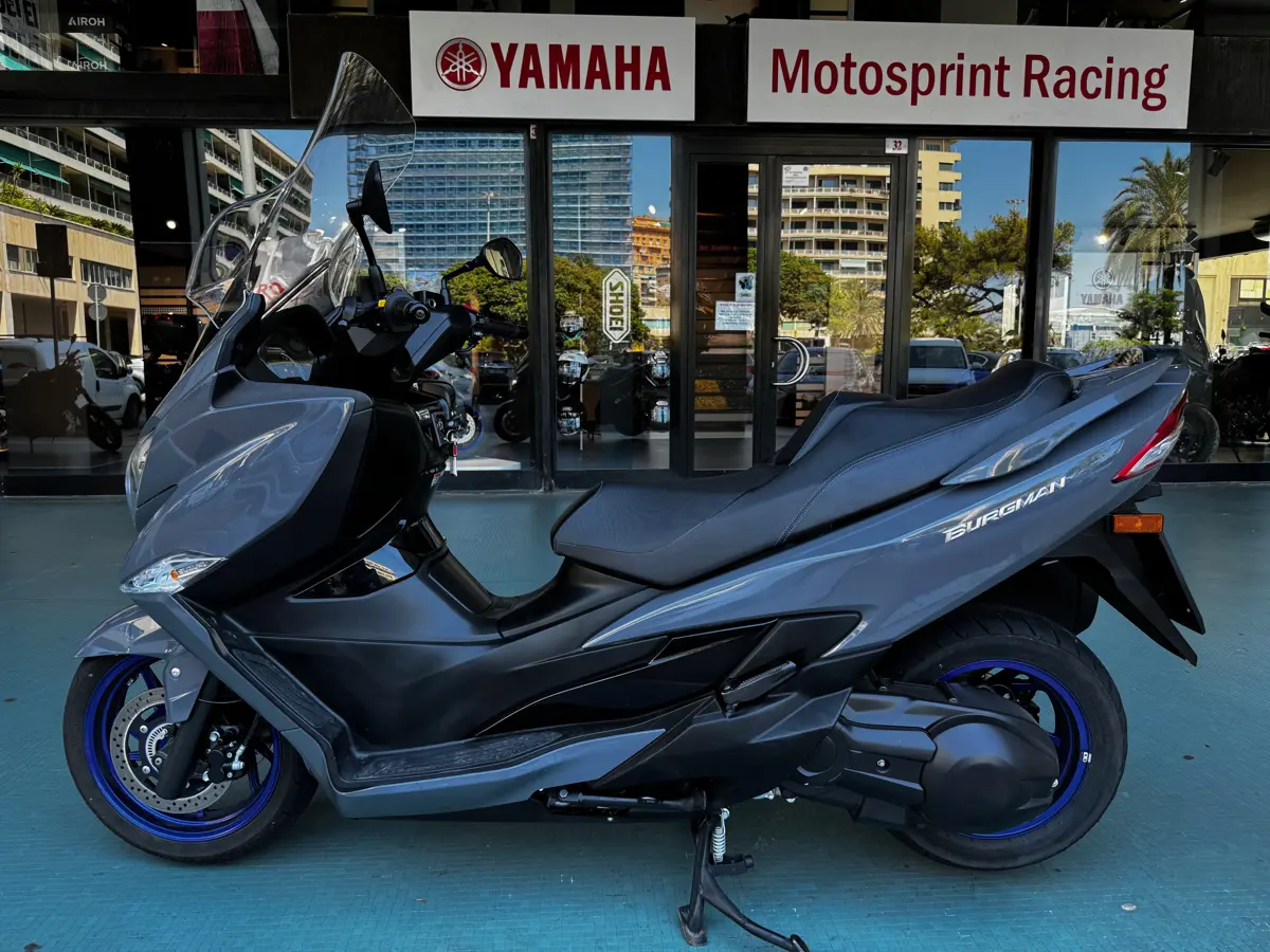 burgman 3.jpg