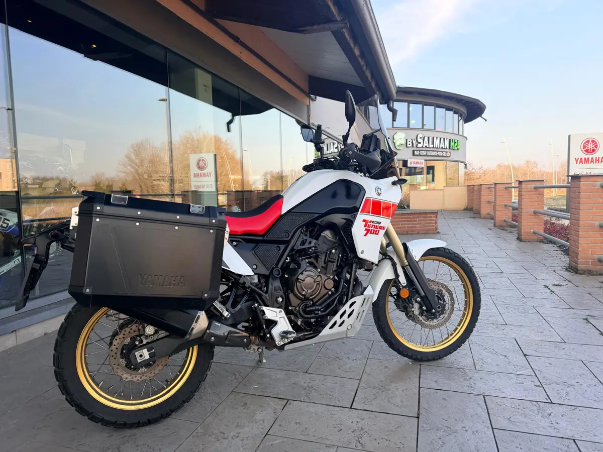 WhatsApp Image 2026-01-21 at 15.57.47 (2) - Copia.jpeg