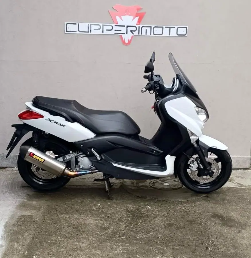 WhatsApp Image 2026-02-10 at 11.54.26.jpeg