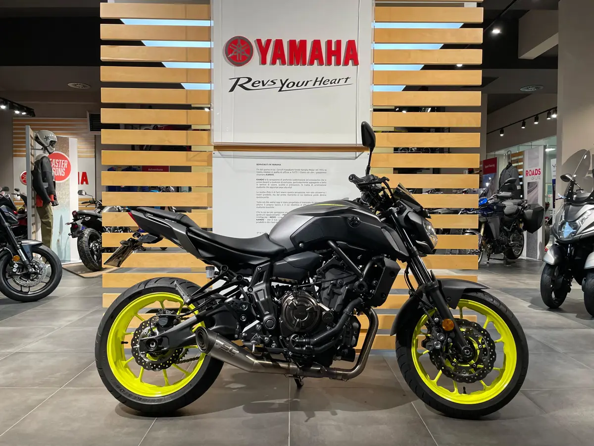 Immagine WhatsApp 2025-11-21 ore 18.55.33_88847f00.jpg