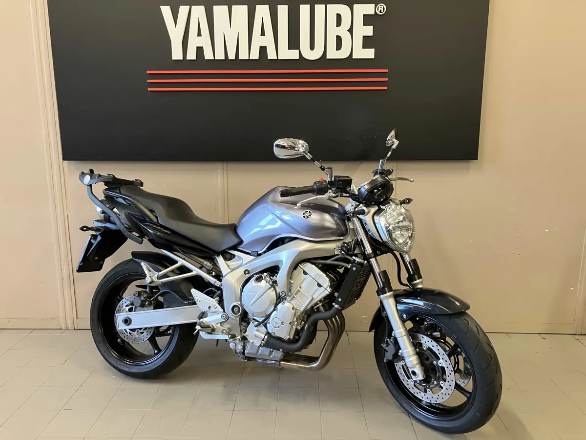 FZ6 (3).jpg