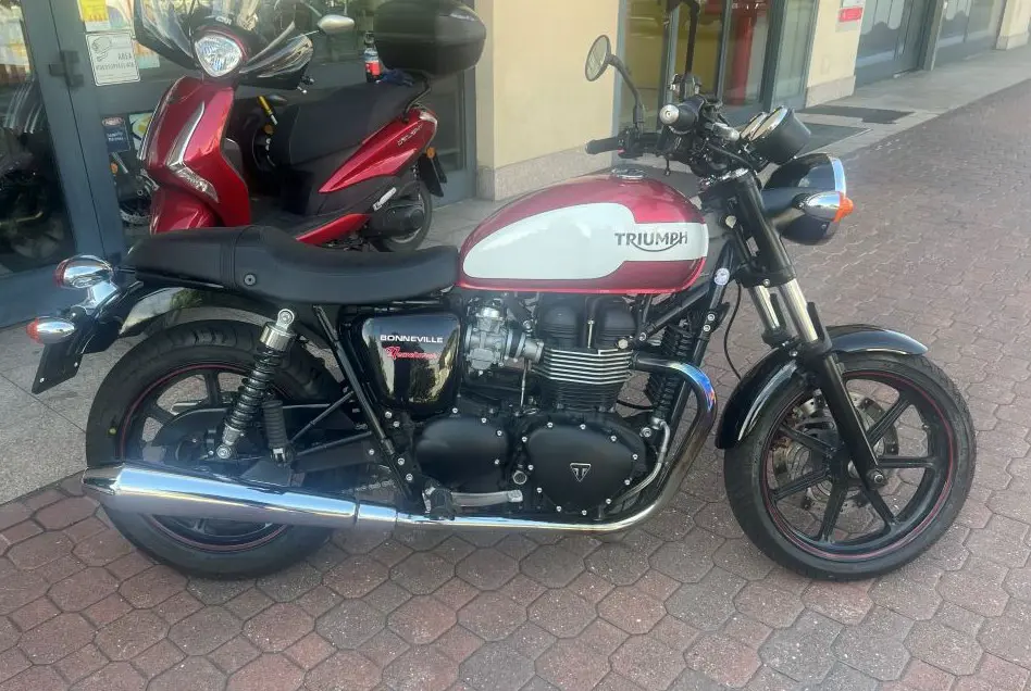 Triumph 6.jpg