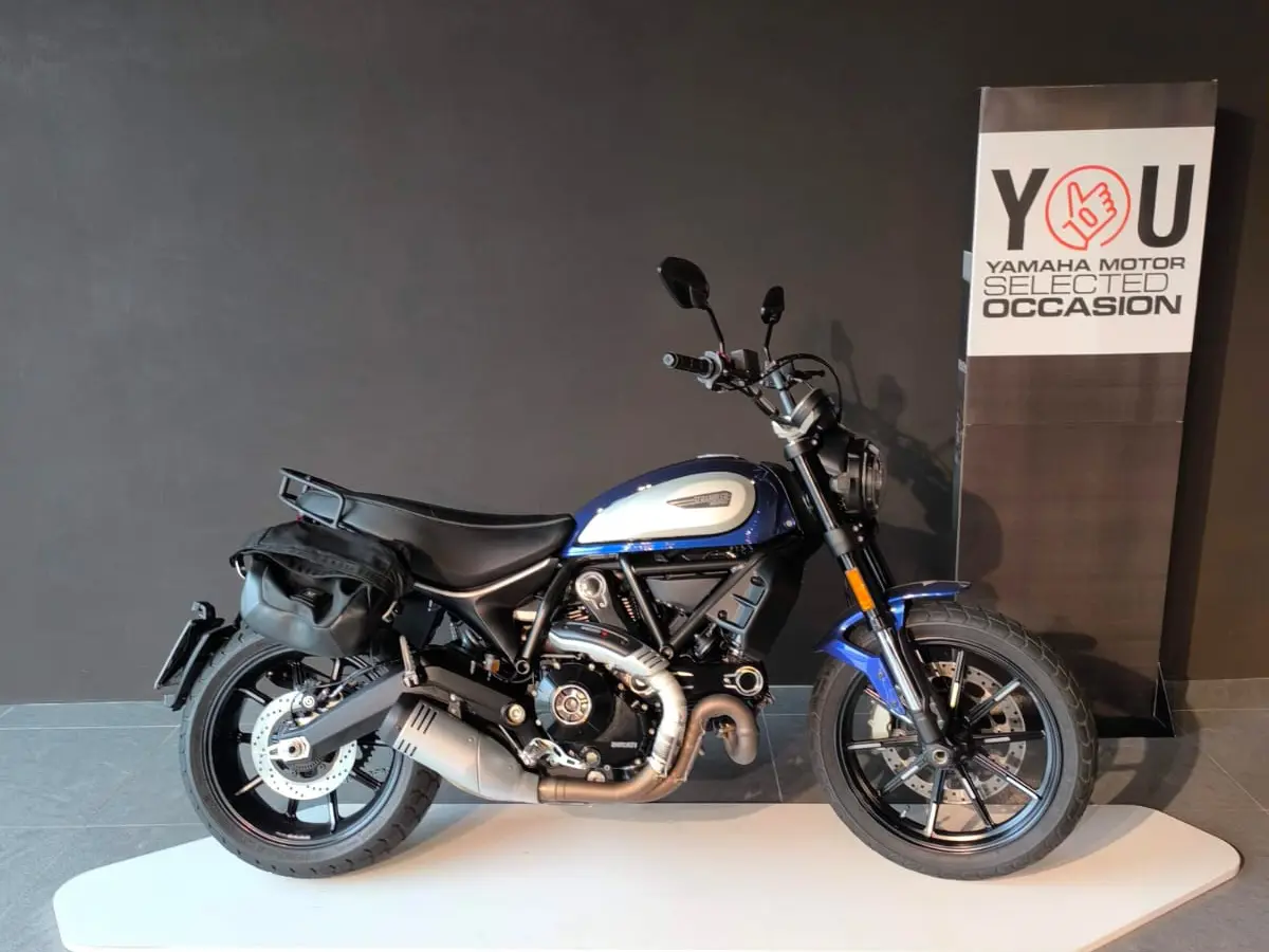 WhatsApp Image 2026-01-20 at 14.50.56.jpeg