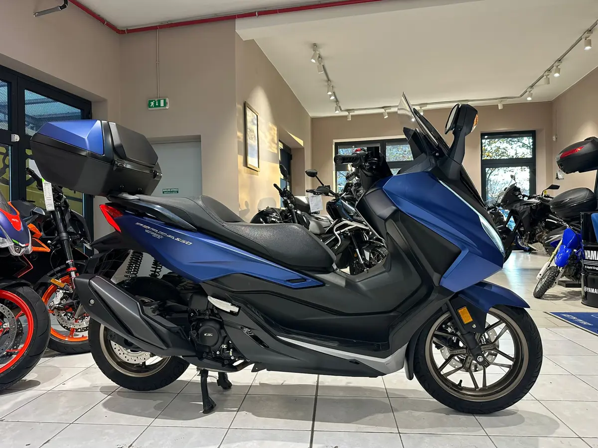 Immagine WhatsApp 2025-12-06 ore 12.04.49_f589b312.jpg