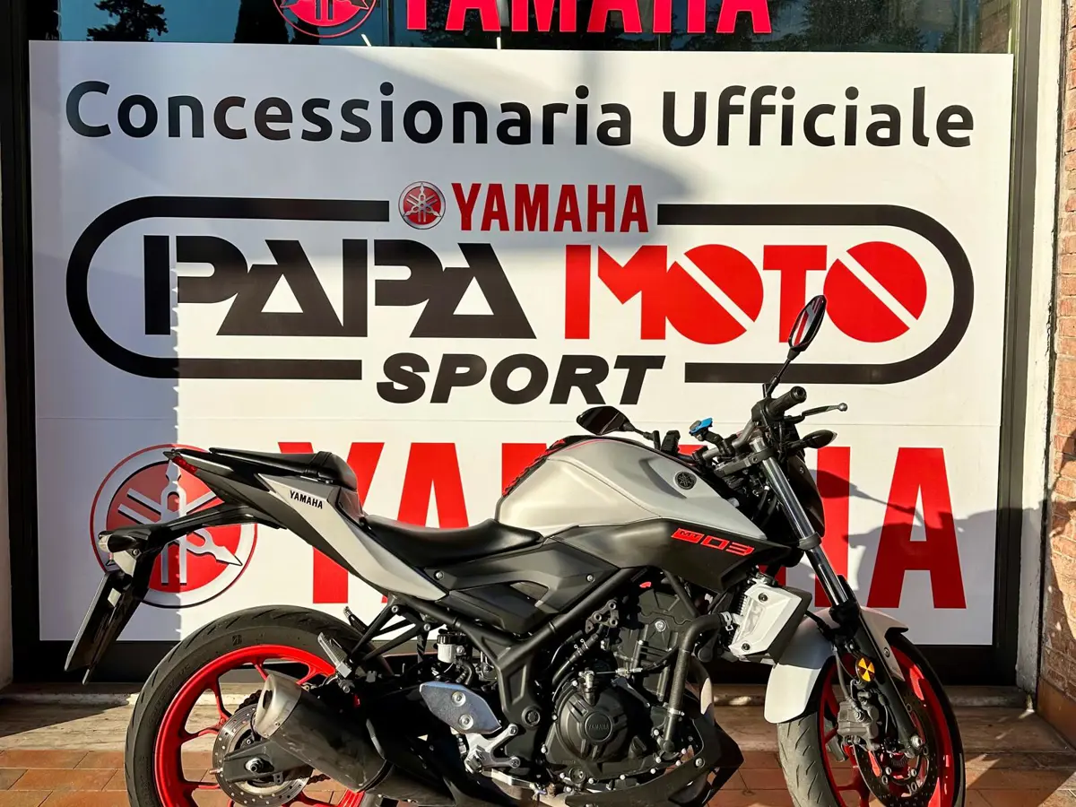 WhatsApp Image 2025-12-31 at 09.44.50.jpeg