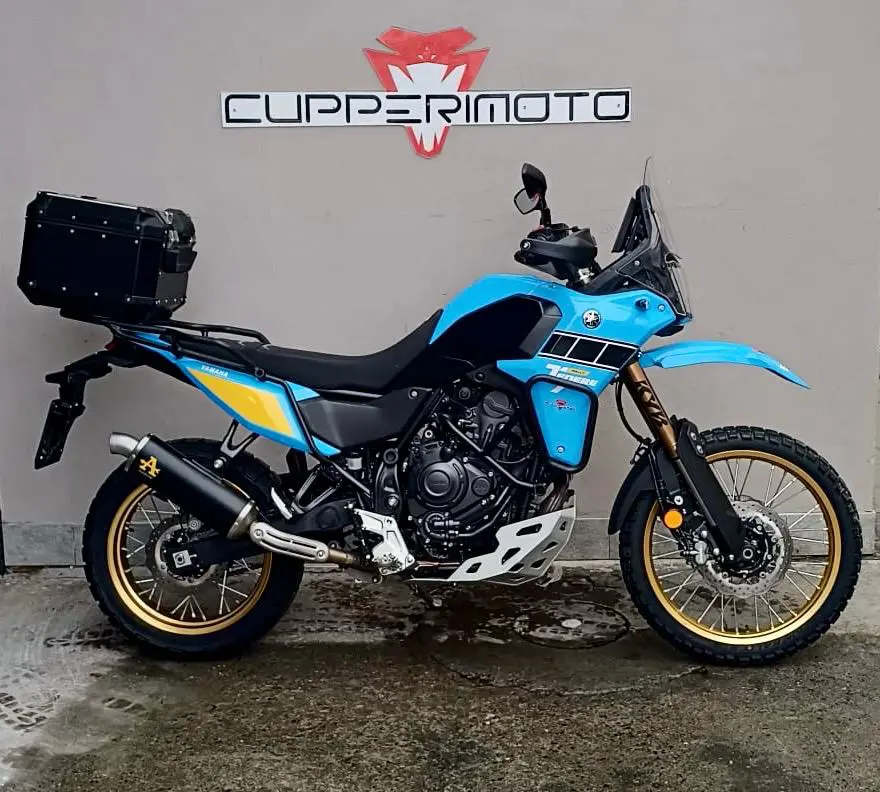 WhatsApp Image 2026-02-11 at 11.23.25.jpegJHIH.jpeg