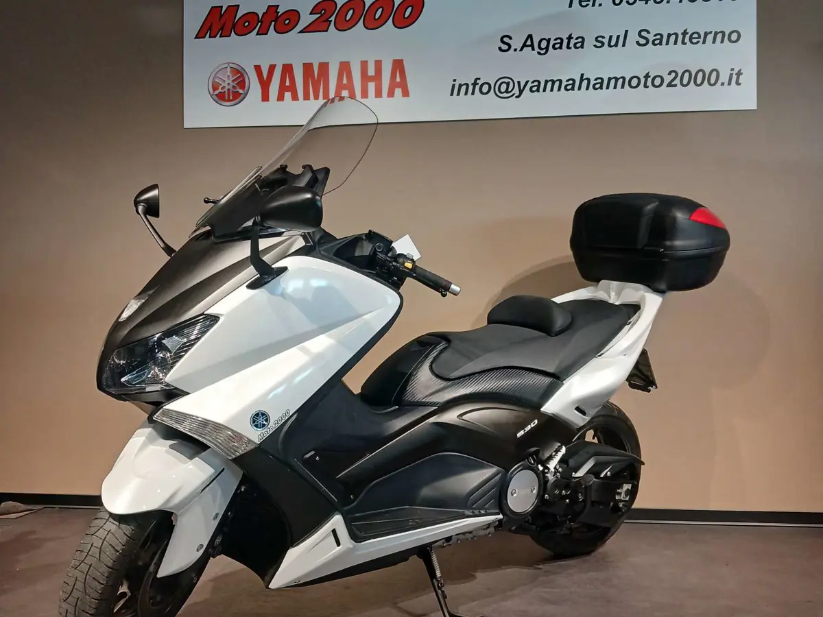 YAM T MAX 539 2012 (5).jpg