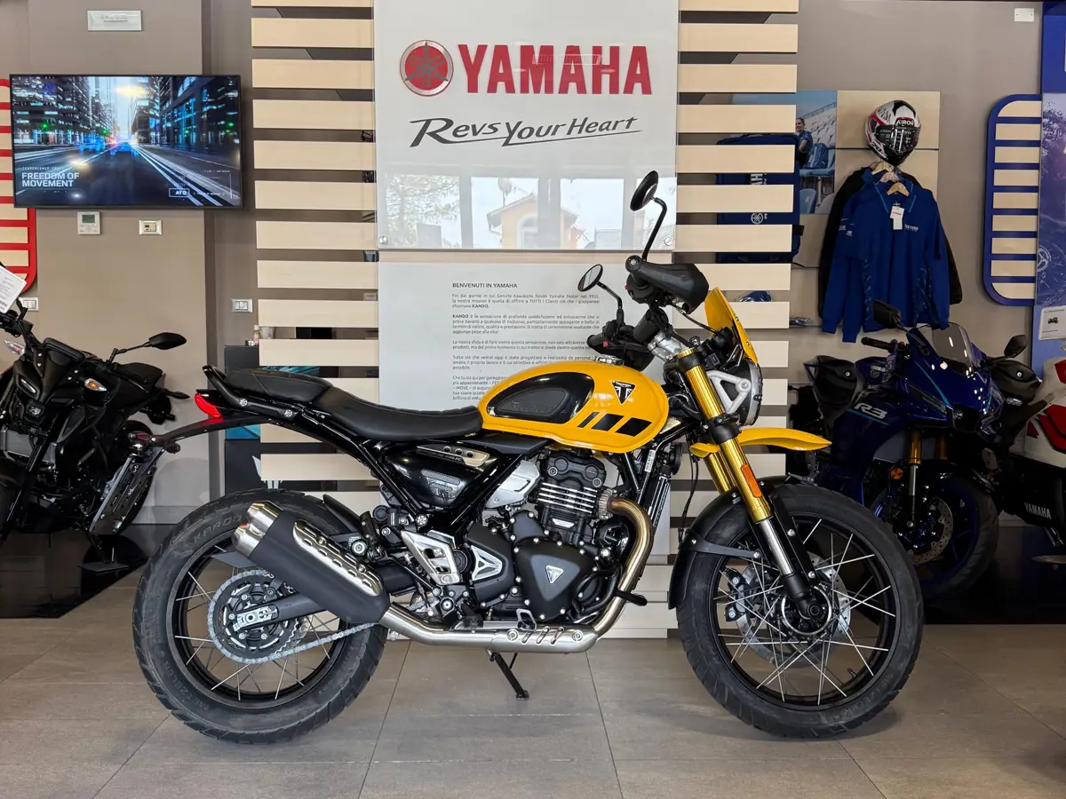 Triumph 6.jpg