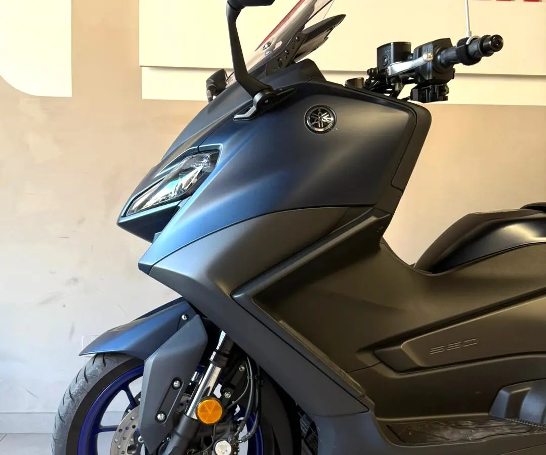 T Max-.jpg