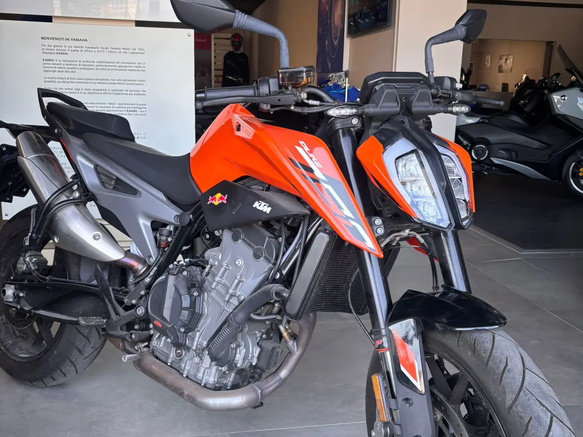 WhatsApp Image 2026-04-28 at 16.27.17 - Copia.jpeg