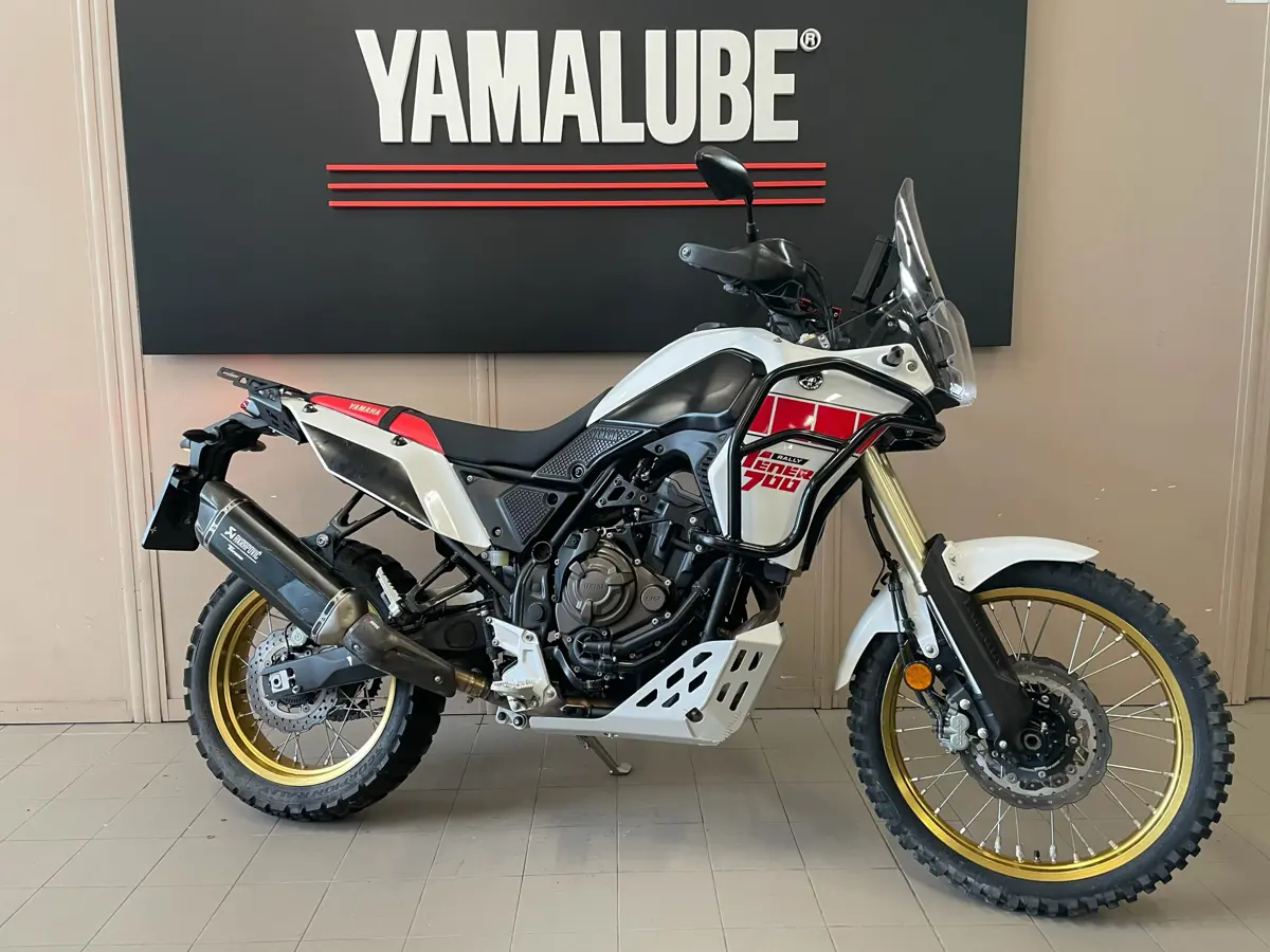 T7 RALLY ex Battaglia (1).jpg