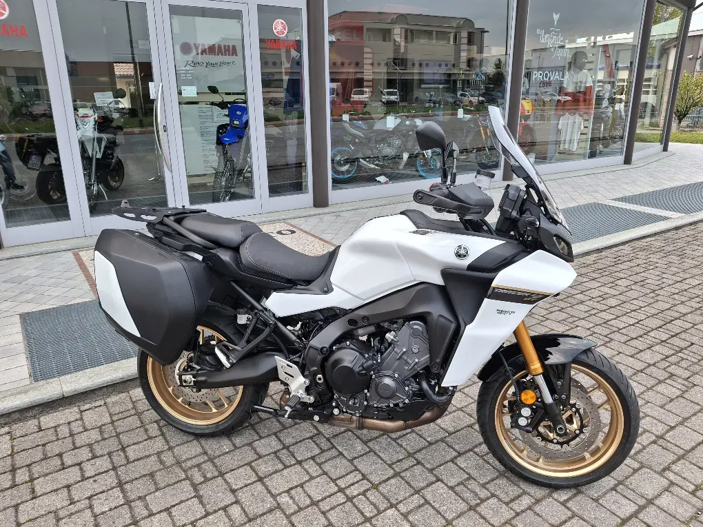 TRACER 9 GT POWER WHITE.jpg