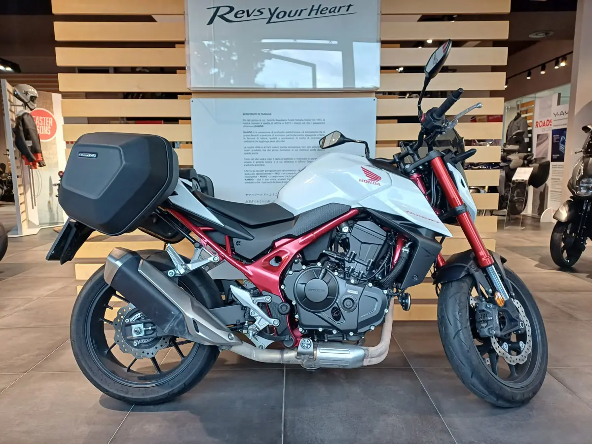 Immagine WhatsApp 2025-11-18 ore 08.50.16_06fb11f6.jpg