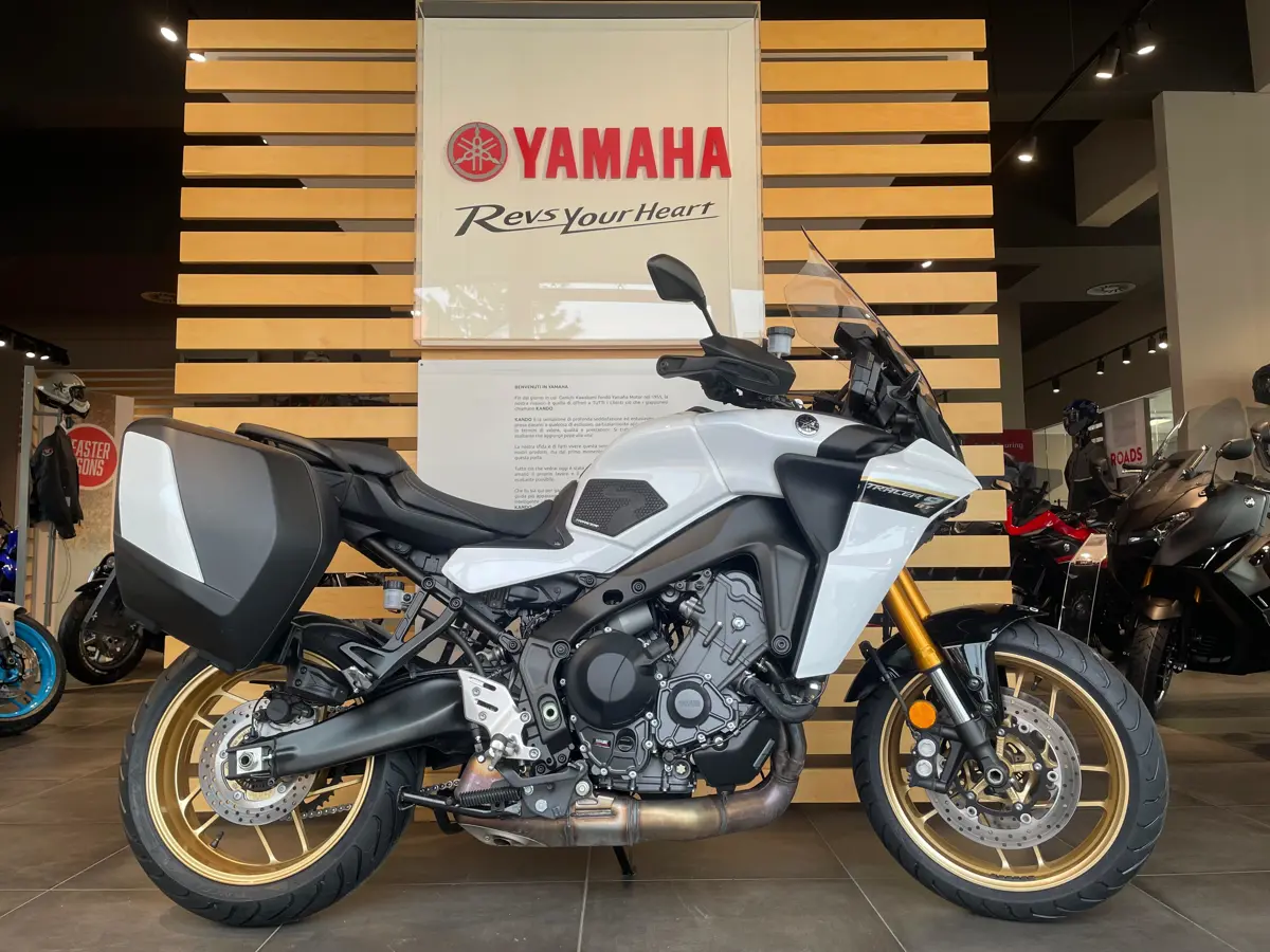 WhatsApp Image 2026-03-13 at 11.31.15 (1).jpeg