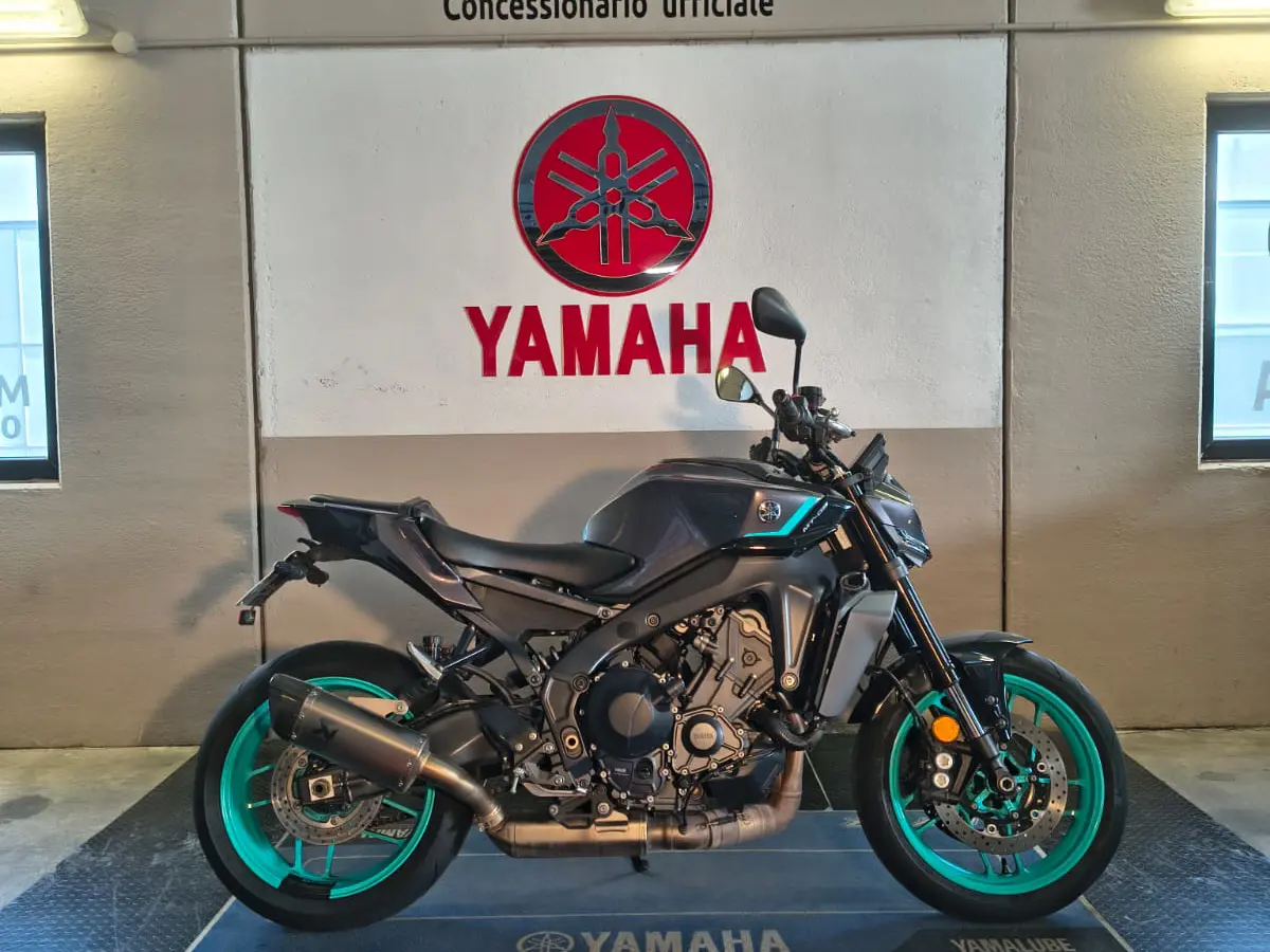 WhatsApp Image 2026-02-13 at 17.27.18.jpeg