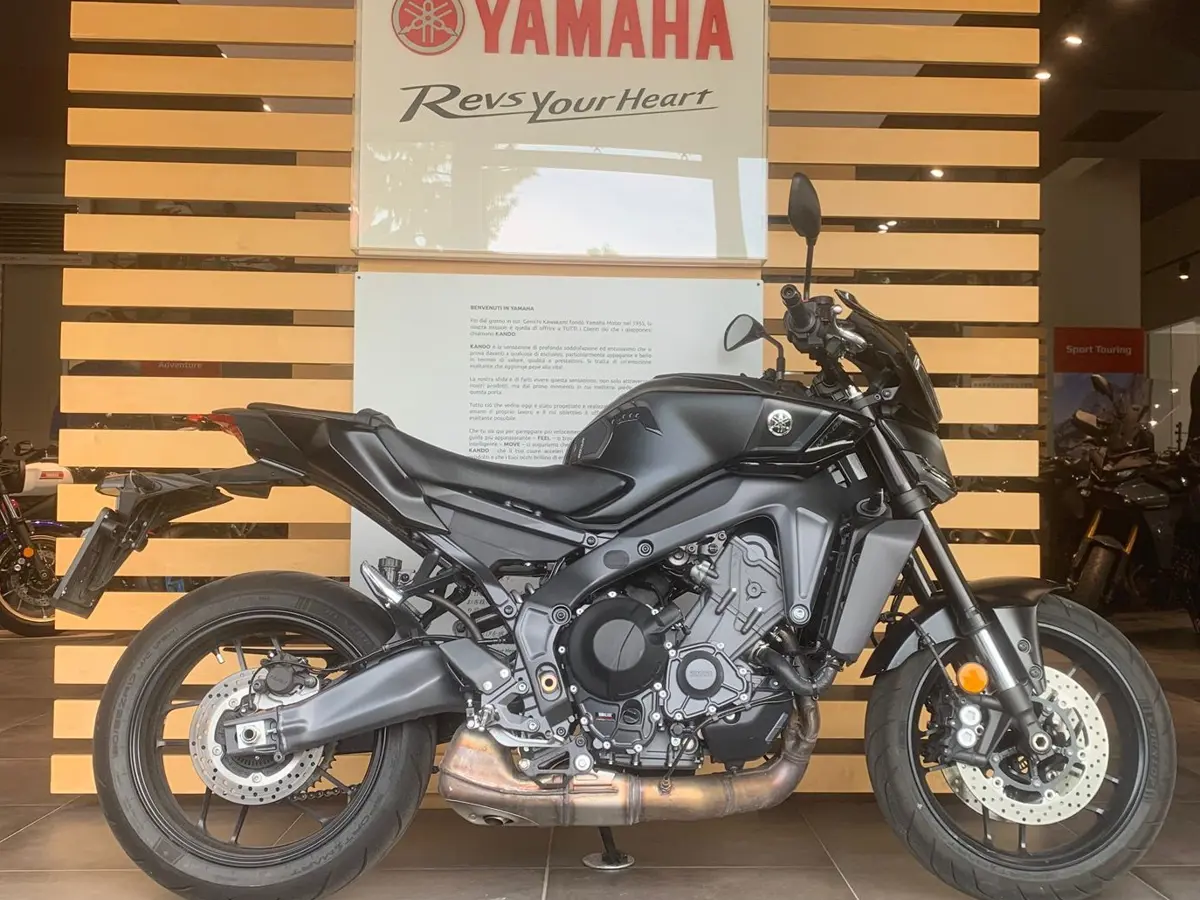 Immagine WhatsApp 2025-06-17 ore 10.58.44_f2c35534.jpg