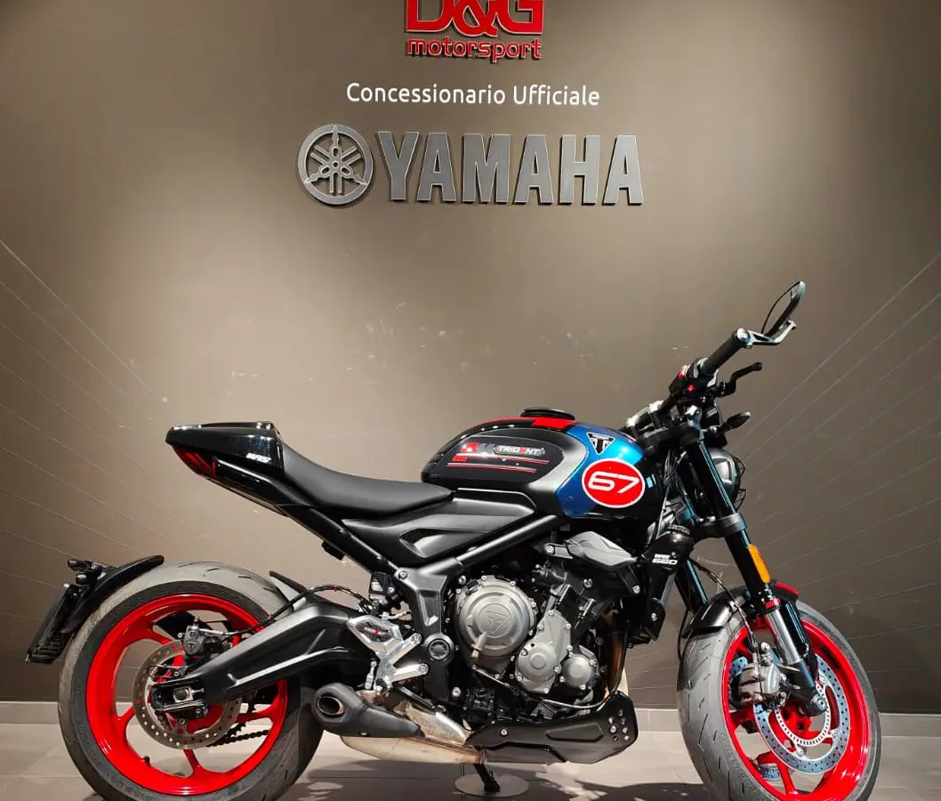 WhatsApp Image 2026-03-03 at 09.29.58.jpeg