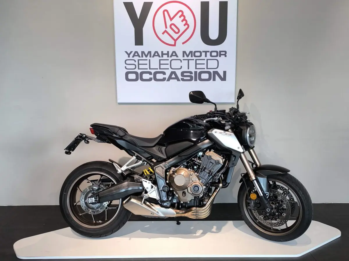 WhatsApp Image 2026-04-10 at 12.07.33.jpeg