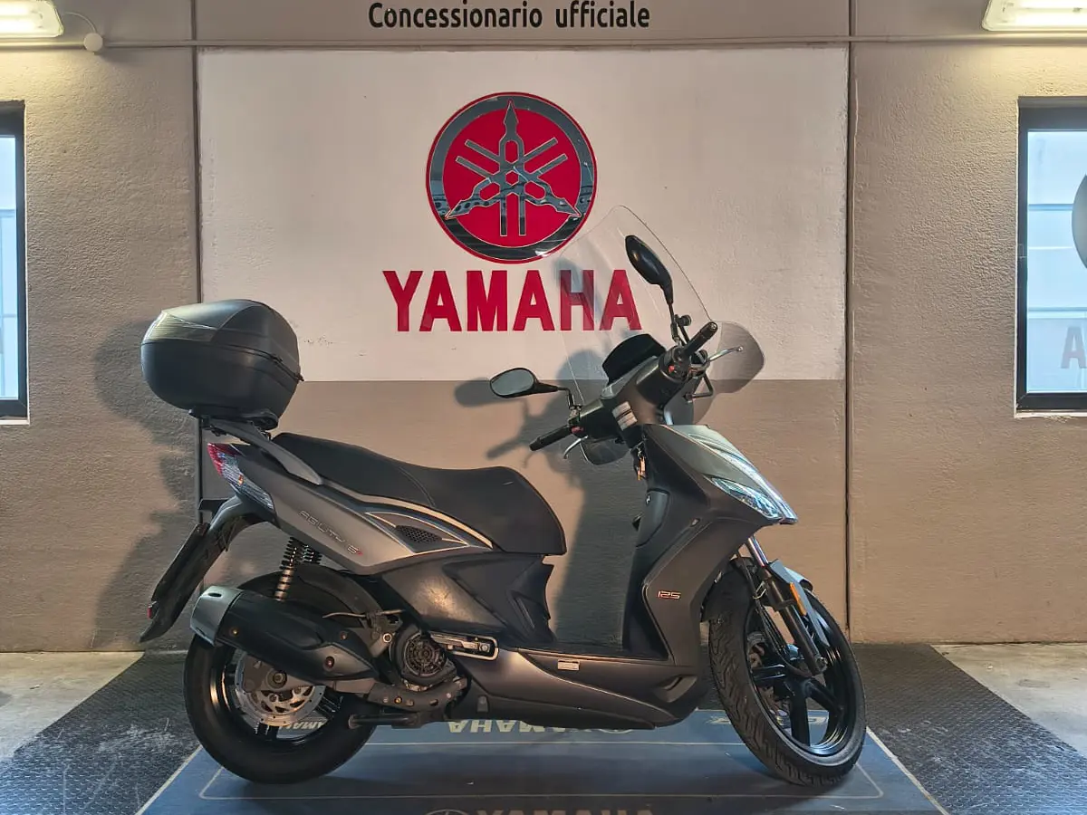 WhatsApp Image 2026-02-13 at 16.33.26 (4).jpeg