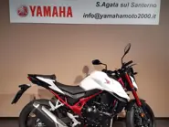 HON HORNET 750  BIANCA23 (5).jpg