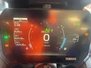 tracer 1.jpg