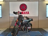 WhatsApp Image 2026-02-13 at 10.31.21.jpeg