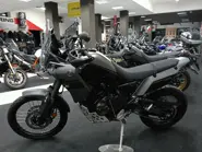 IMG20250428214536.jpg