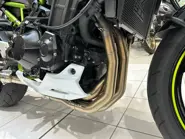 Immagine WhatsApp 2025-10-31 ore 16.17.09_bbf7b8ed.jpg