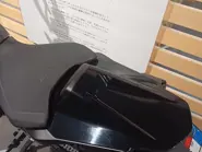 Immagine WhatsApp 2025-11-14 ore 08.58.16_1da89046.jpg