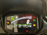 IMG_8203.jpg