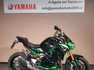 KAWA Z 900 2024 (1).jpg