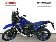 WhatsApp Image 2026-03-05 at 16.23.42.jpg