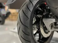 EY09095 (1).JPEG