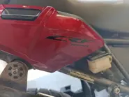 WhatsApp Image 2025-09-02 at 08.43.23.jpeg