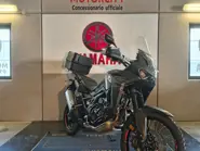 WhatsApp Image 2026-02-13 at 17.27.14.jpeg