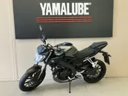 MT 125 (2).jpg