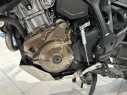 Immagine WhatsApp 2025-10-30 ore 18.16.27_b6b72f2d.jpg