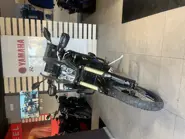 IMG_8212.jpeg