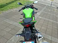 F.lli Maggi Vigevano Kawasaki Ninja 125 1.jpeg