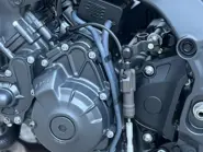 WhatsApp Image 2025-11-25 at 16.10.31.jpeg