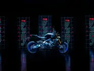 2024-Yamaha-MT09DX-EU-Icon_Performance-Static-008-03 (1).jpg