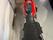 WhatsApp Image 2026-02-17 at 08.34.34.jpeg